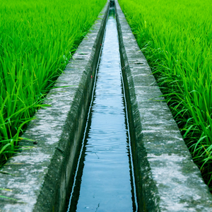 AGRICULTURE INCREASING WATER MOVEMENT